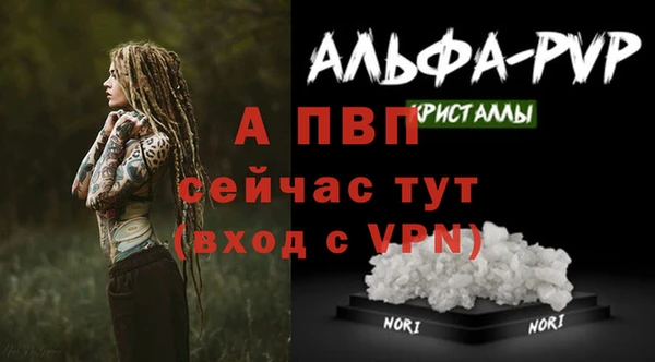 сатива Приозерск