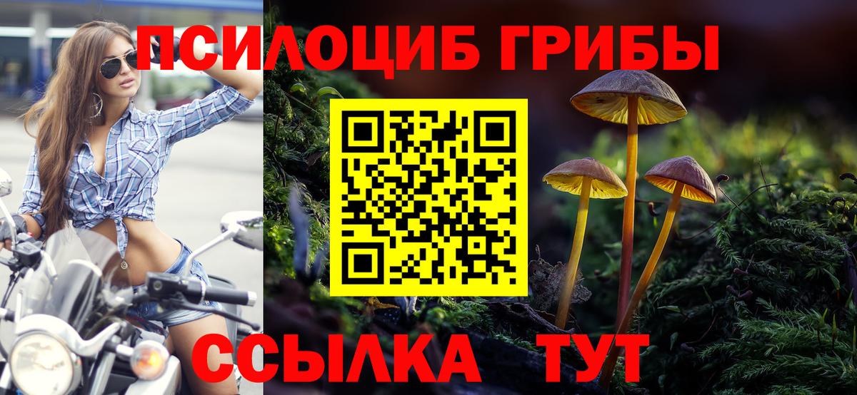 купить наркотики цена  Галлюциногенные грибы MAGIC MUSHROOMS  Благовещенск  Псилоцибиновые грибы мухоморы 