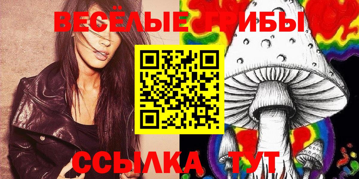 Галлюциногенные грибы GOLDEN TEACHER Благовещенск