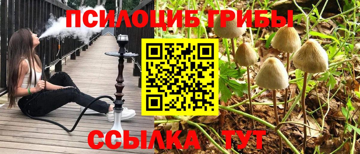 Галлюциногенные грибы мицелий Благовещенск