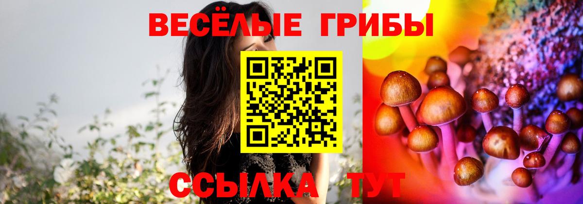 Благовещенск  Галлюциногенные грибы MAGIC MUSHROOMS  Галлюциногенные грибы ЛСД  Вход с VPN 